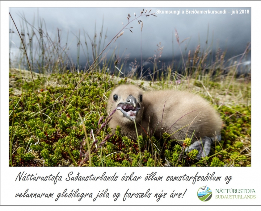 Jólakveðja frá Náttúrustofu Suðausturlands 2018