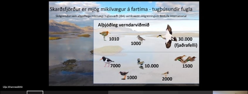 Dr. Lilja Jóhannesdóttir sérfræðingur hjá Náttúrustofu Suðausturlands flytur erindi sitt um Skarðsfjörð á vinnustofum um mögulega friðlýsingu.