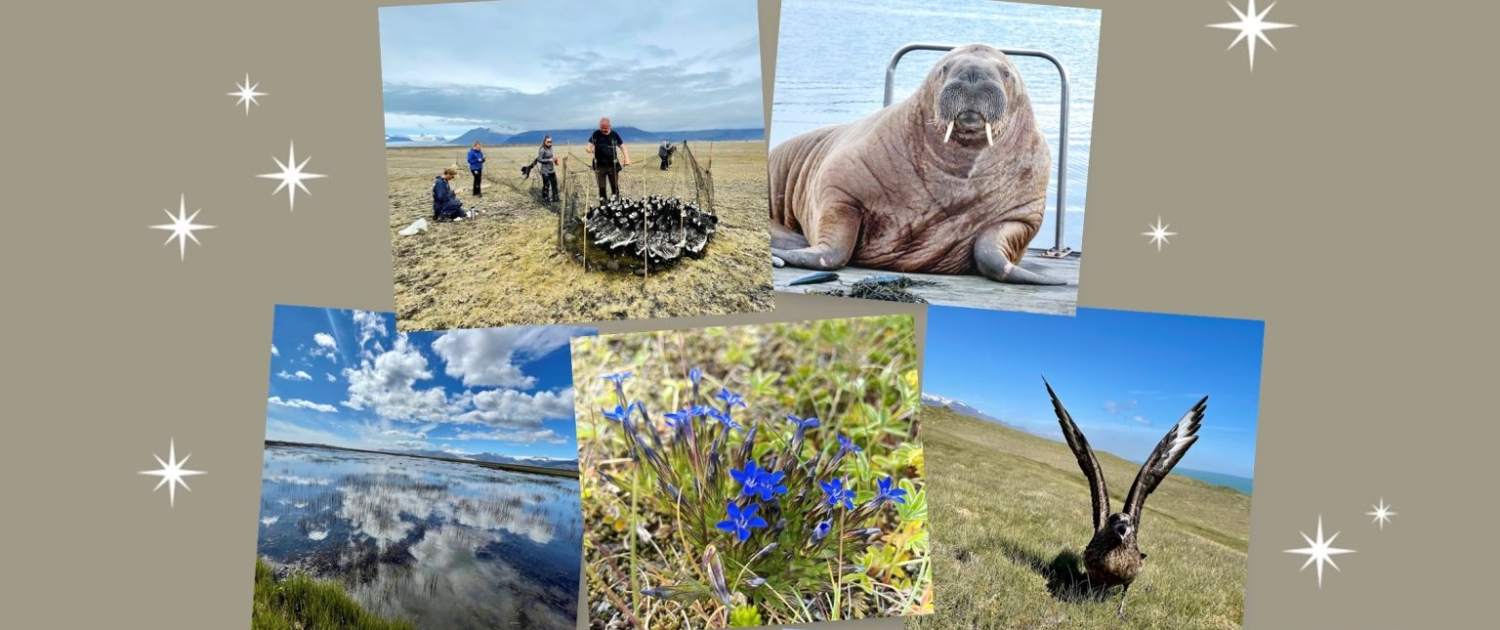 Jólakveðja 2021