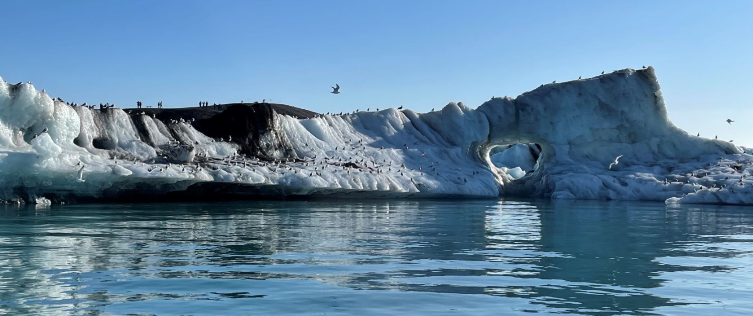 Fuglar og ferðamenn við Jökulsárlón