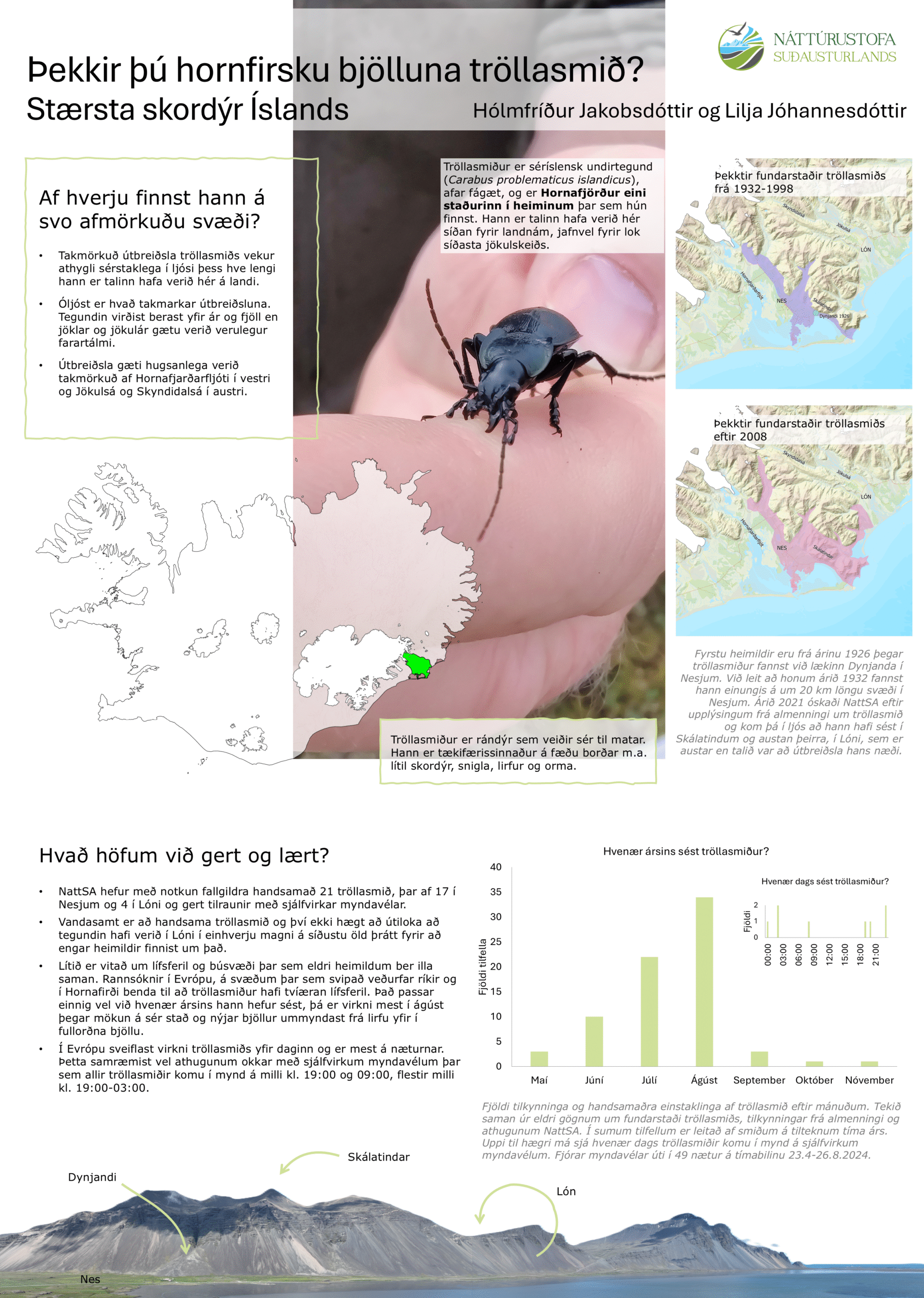 Þekkir þú tröllasmiðinn